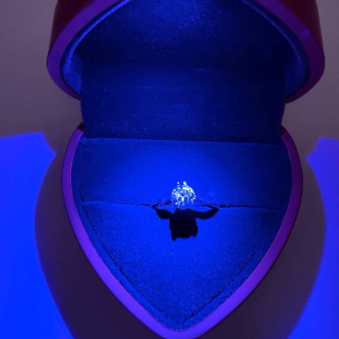Scatola a forma d cuore con interno in velluto e completa di anello