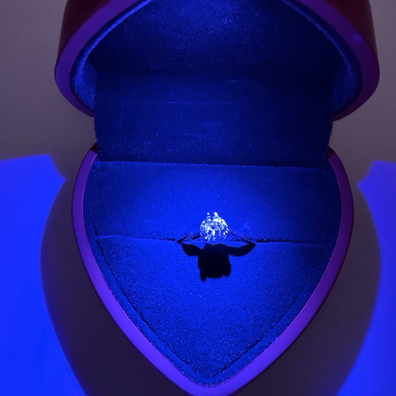 Scatola a forma d cuore con interno in velluto e completa di anello